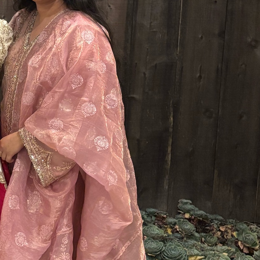 Rose Pink Embroidered Indian Suit - Picture 4 of 4